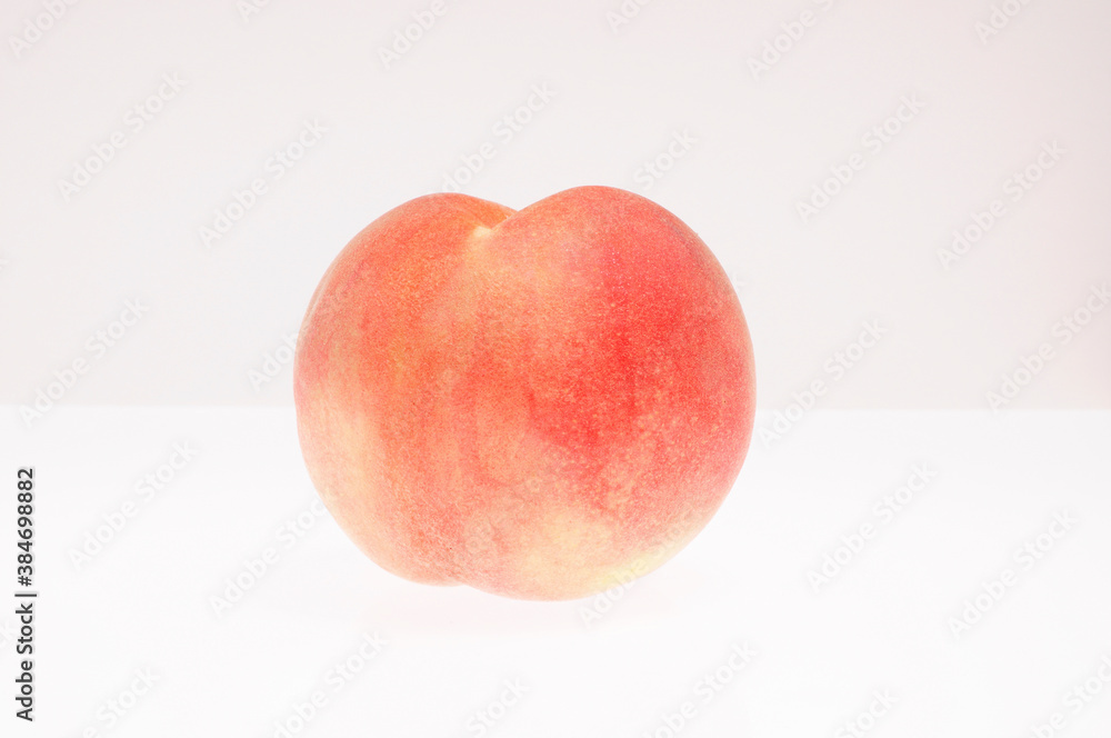 白バックにモモ