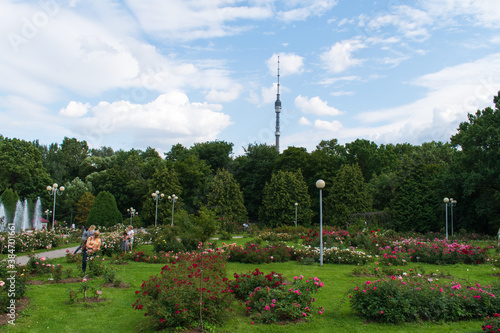 The Tsytsin Main Moscow Botanical Garden of Academy of Sciences. The Rose garden. Ostankino TV Tower at background