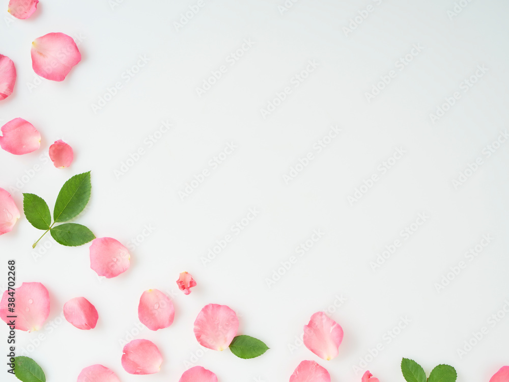 Pink rose petals and leaves Pink rose petals and leaves