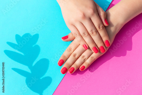 Female hands with manicure and shadow from plant on blue and pink background.