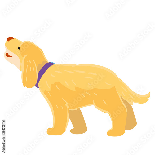 dog setter in beige color, cartoon illustration, isolated object on white background, vector,