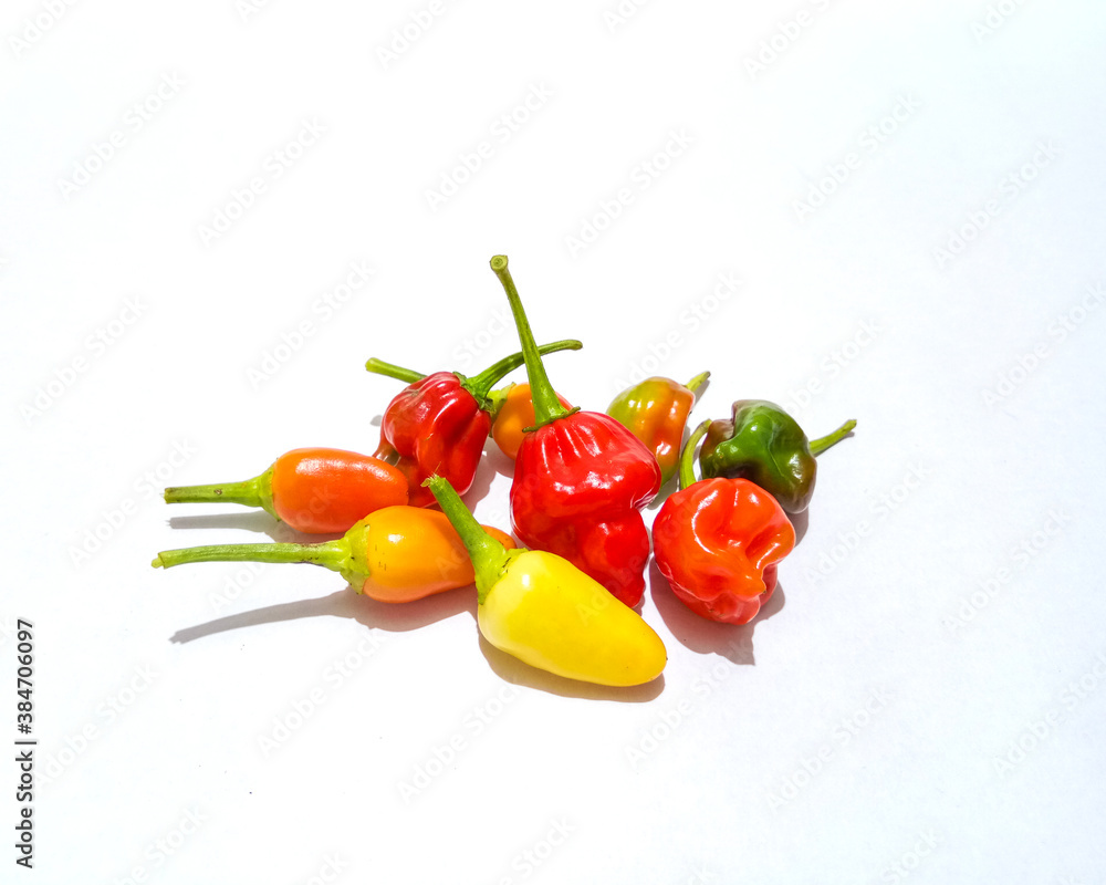 Colorful hot chilli peppers isolated Colorful hot chilli peppers isolated