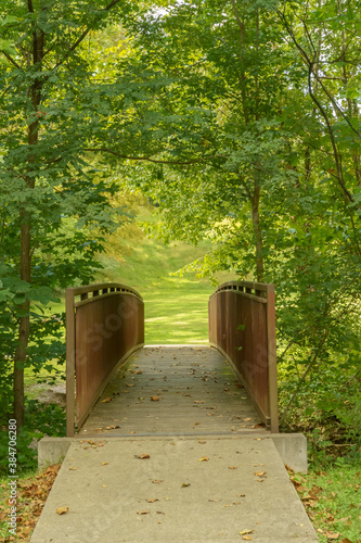 wooden bridge in the park