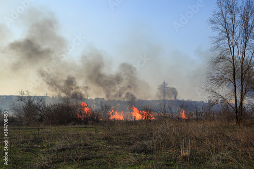 Big fire in the steppe area