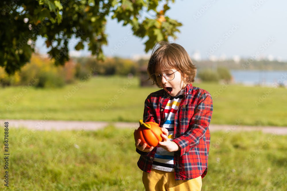 Surprised Cute boy in glasses play with pumpkin in autumn park on Halloween. Kids trick or treat. Fun in fall. Dressed up child Surprised Cute boy in glasses play with pumpkin in autumn park on Halloween. Kids trick or treat. Fun in fall. Dressed up child