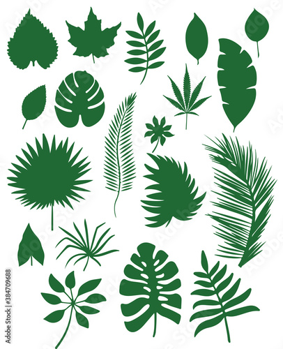 set of green leaves vector design illustration