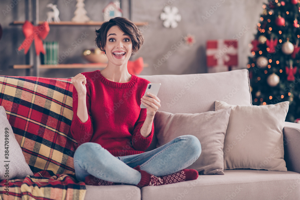 Full size photo of excited lady sit cozy couch hold smartphone raise fist in house indoors with christmas x-mas ornament Full size photo of excited lady sit cozy couch hold smartphone raise fist in house indoors with christmas x-mas ornament