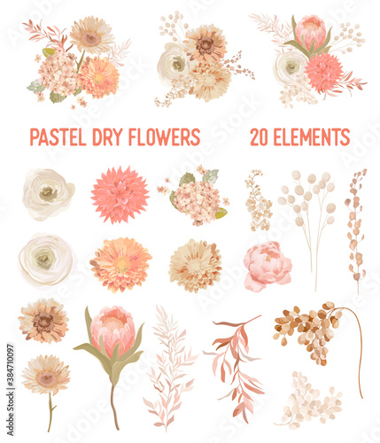 Elegant Vector Dry Flowers, Protea, Pale roses, Eucalyptus, Dried hydrangea, Dahlia, floral elements. Trendy winter