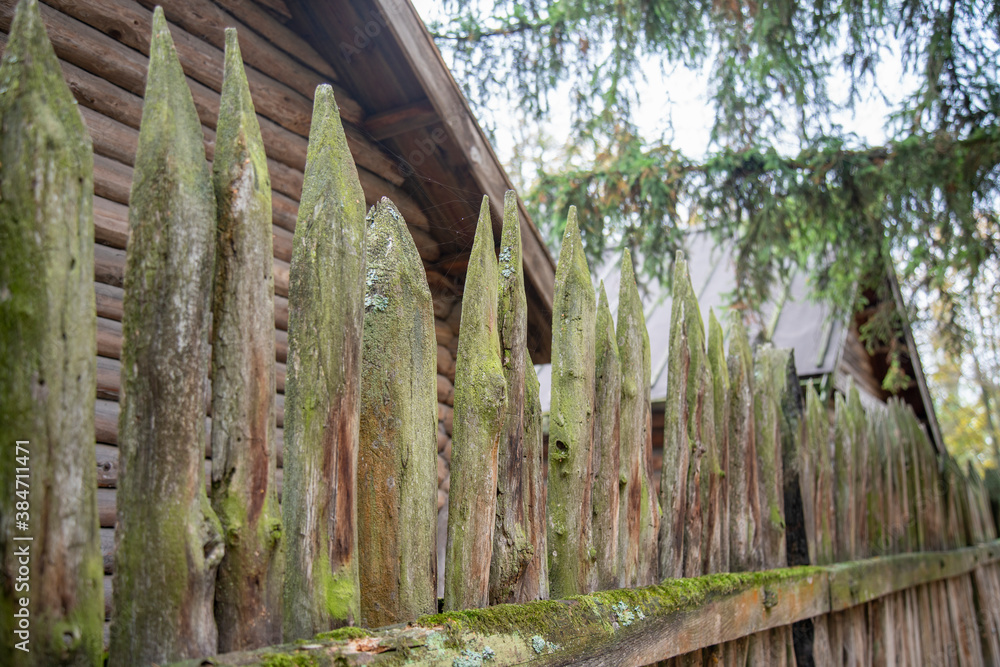 Obraz premium ancient style wooden wall Palisade. High wooden antique palisade. Fence made of sharp wooden stakes on the background of logs. ancient style wooden wall Palisade
