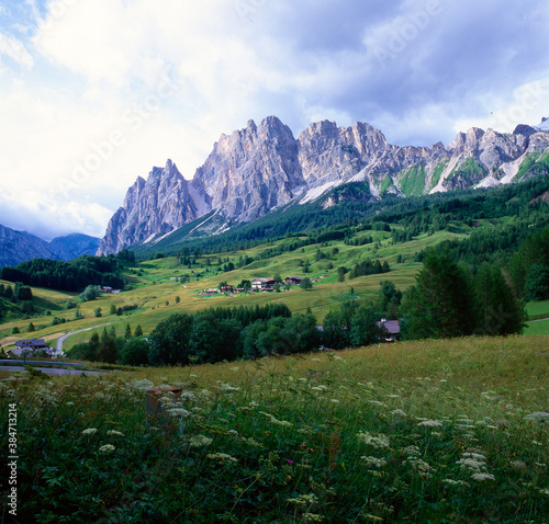 Cortina D' Ampezzo, Bellunp. Gruppo del Cristallo con paesaggio estivo.