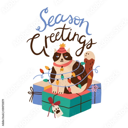 Cute cat sitting on pile of christmas giftbox. Holiday card with funny kitten...