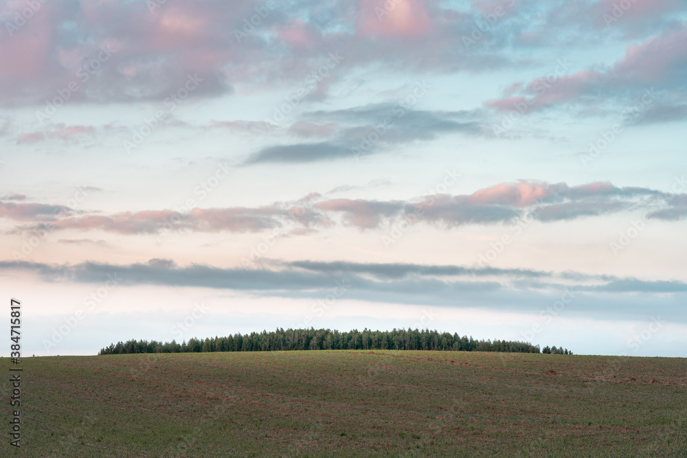 Forest on top of a field on a hill during sunset with colorful clouds. Minimalistic autumn or fall landscape with pastel colors. Large copy space.