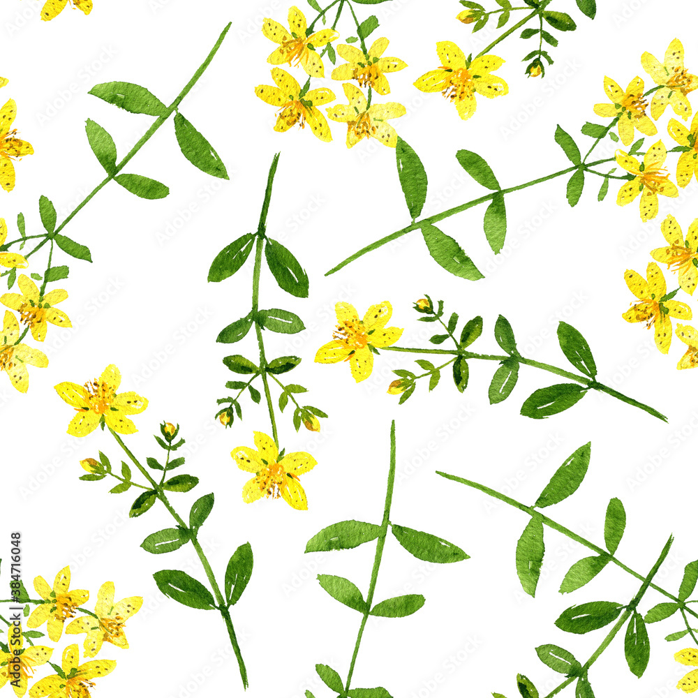 seamless pattern with watercolor drawing St. John's wort
