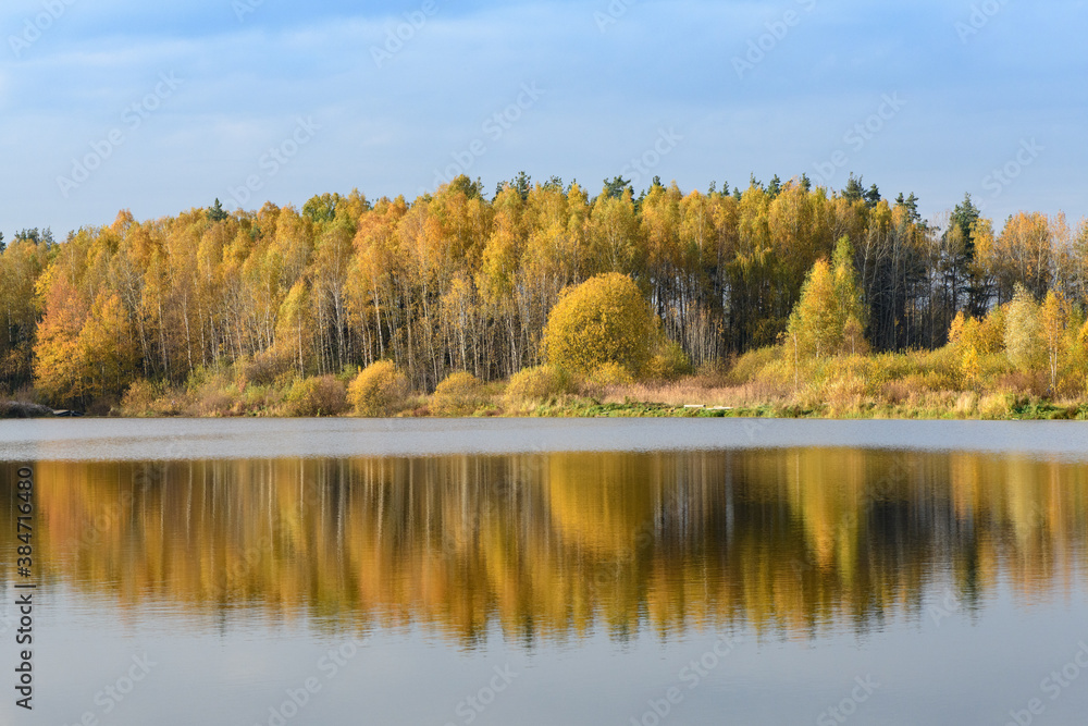 Fall forest by the lake in sunny day with blue sky