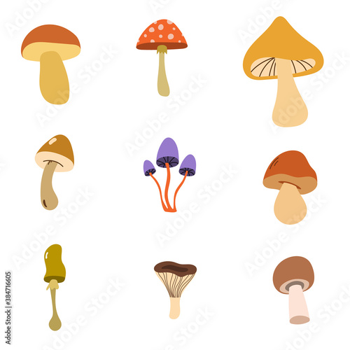 Set of vector icons of autumn poisonous and edible mushrooms. Isolates on a white background.