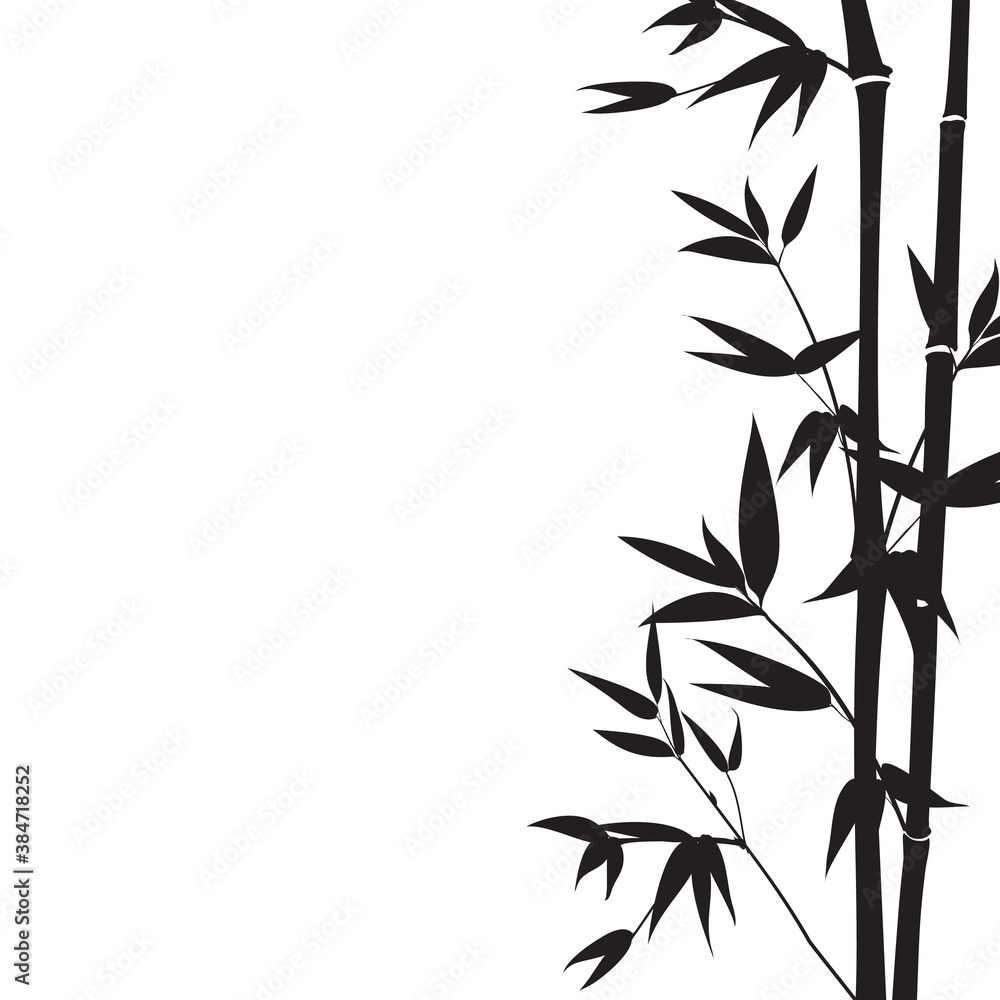 Obraz premium Hand drawn bamboo branches for your design.