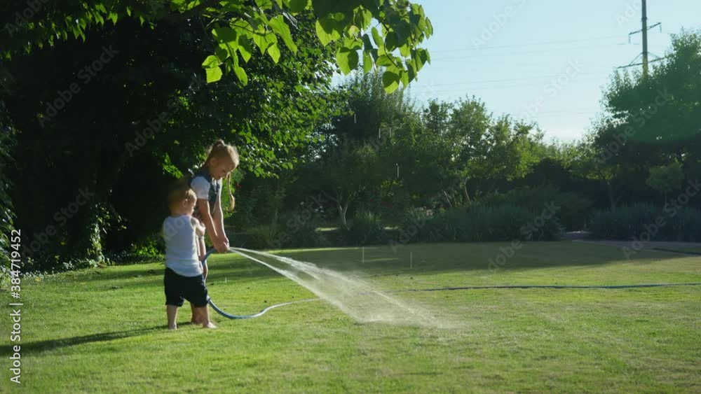 childhood, little kids fooling around in yard in summertime, girl spraying water on her brother with watering hose childhood, little kids fooling around in yard in summertime, girl spraying water on her brother with watering hose