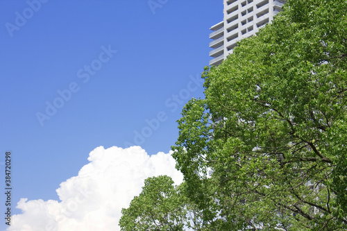 高層マンションと青空と白い雲