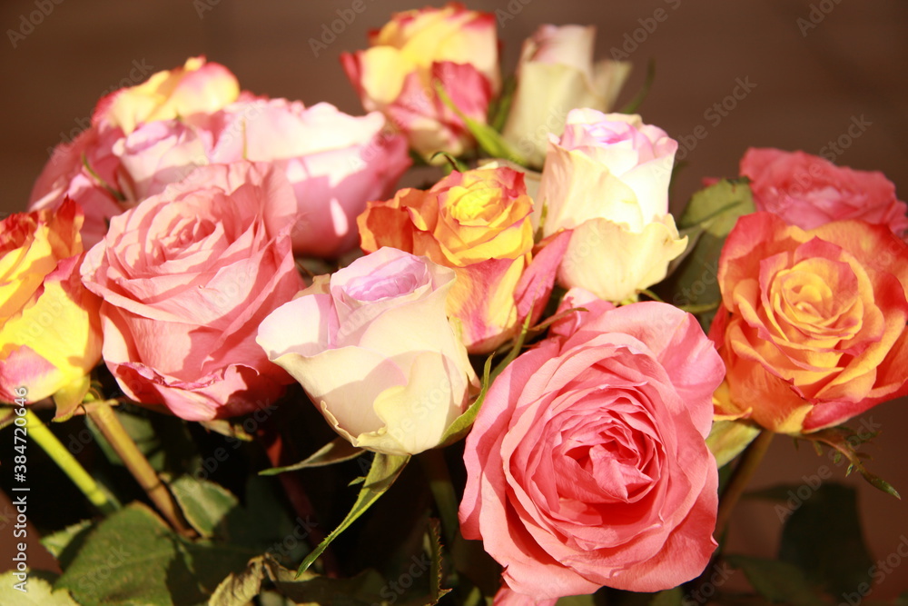 Roses rose orange blanche pastel Roses rose orange blanche pastel