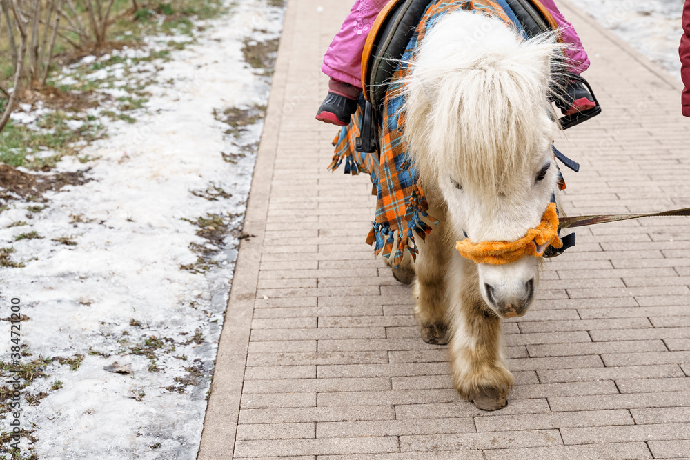 pony ride a child in winter