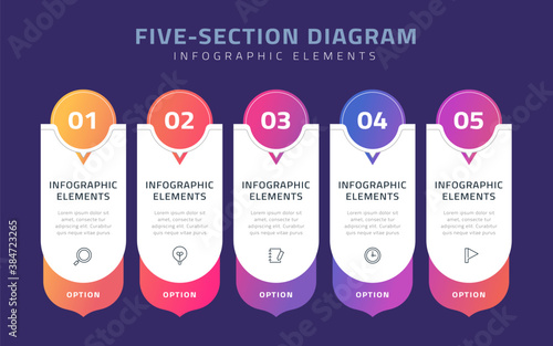 Five section diagram infographics