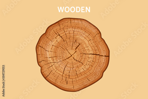 Top view of wood cross section