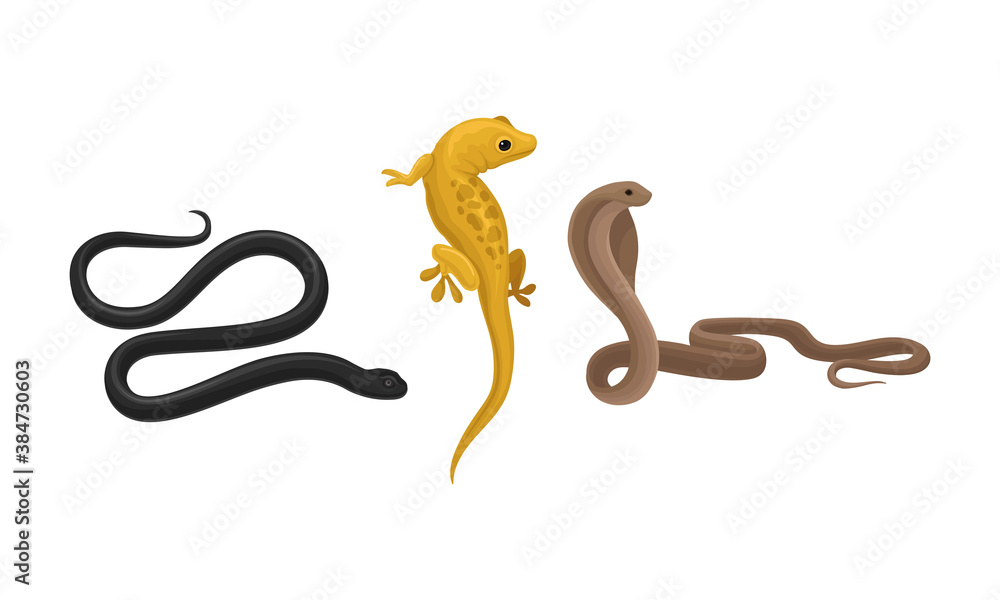 Obraz premium Snakes and Lizard as Carnivorous Reptiles Vector Set