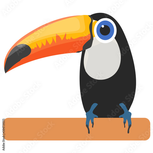 
Crow like colorful bird having  long beak, toco toucan 
