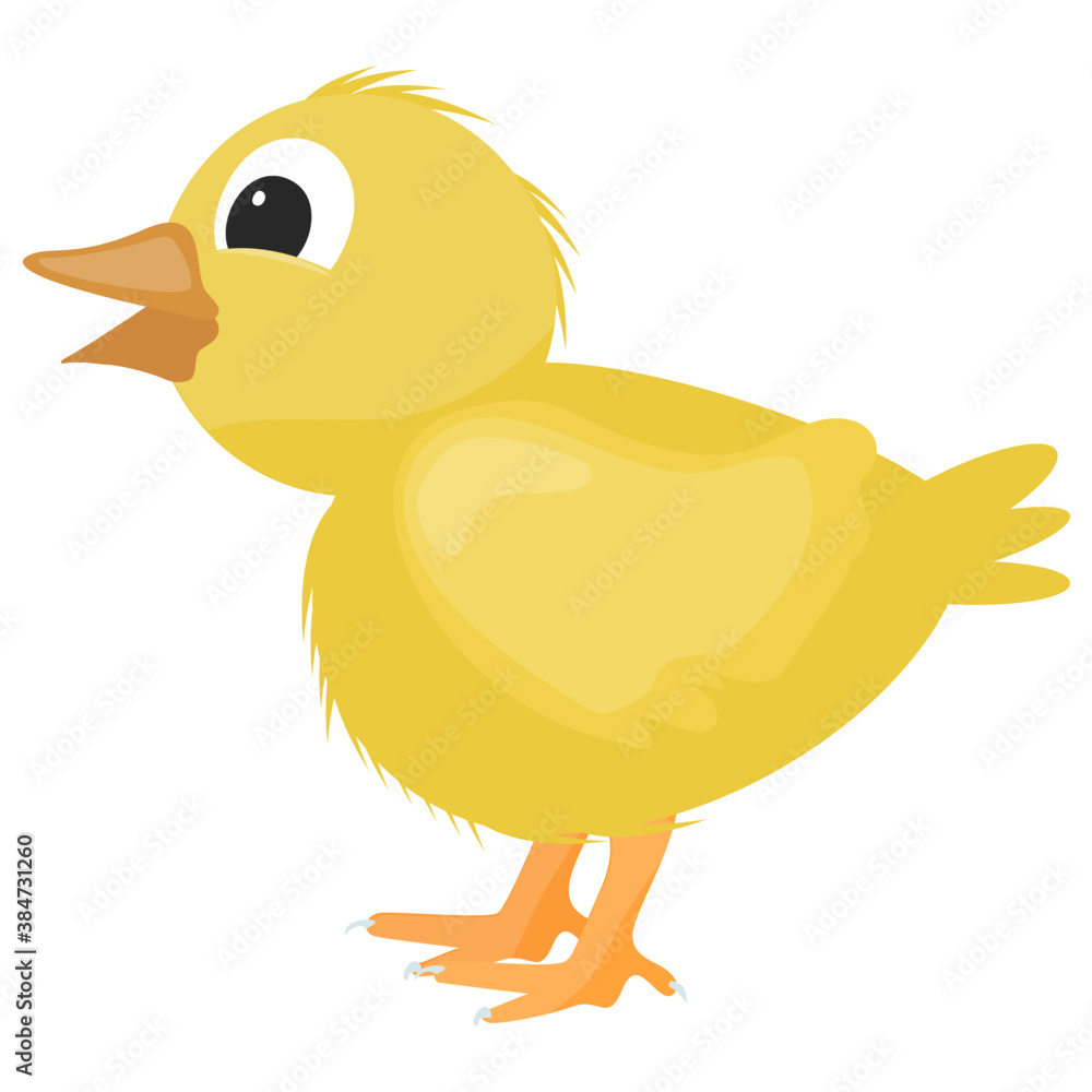 A duck having white color is farm animal
A duck having white color is farm animal