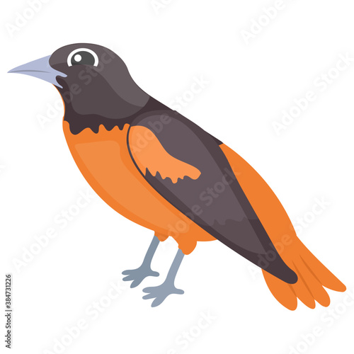 
A colorful bird with long beak depicting  eurasian finch 
