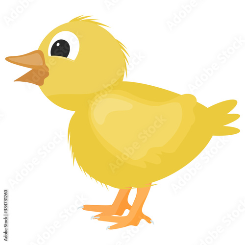 
A duck having white color is farm animal 
