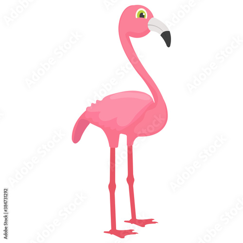  Bird having long beak and smart legs depicting flamingo 