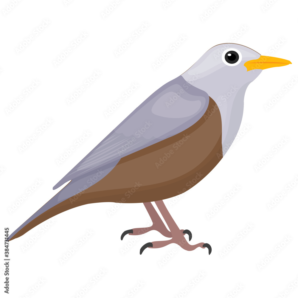 Obraz premium A little bird having feathers depicting sparrow