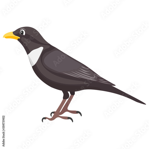 
A little bird having feathers depicting sparrow 
