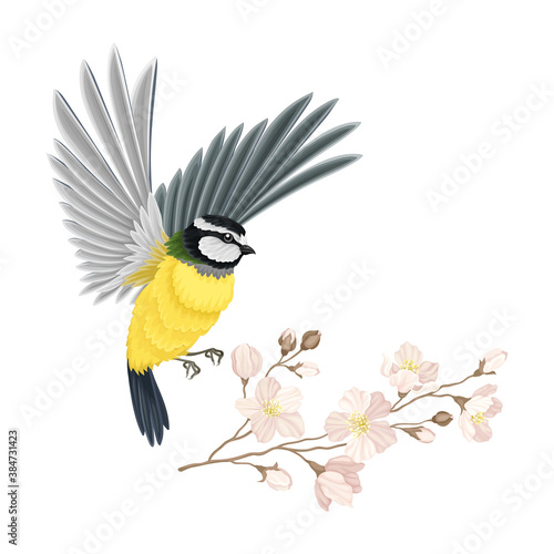 Great Tit with Black Head and Yellow Body Flying Towards Apple Blossom Branch Vector Illustration