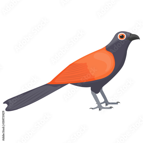 
A colorful bird with long beak depicting  eurasian finch 

