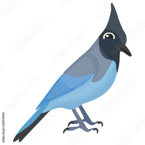 
Blue fowl depicting blue jay image 
