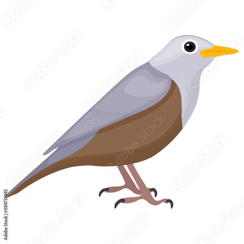 
A little bird having feathers depicting sparrow 
