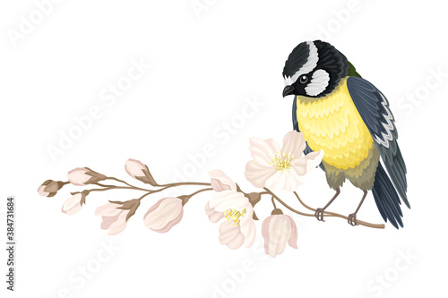 Garden Tit Perching on Branch with Apple Blossom Vector Illustration