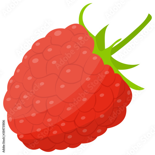 
A juicy red colored berry fruit known as raspberry 
