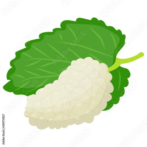 
White mulberry bunch with leaves with tart flavour 
