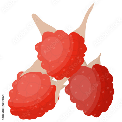 
A juicy red colored berry fruit known as raspberry 
