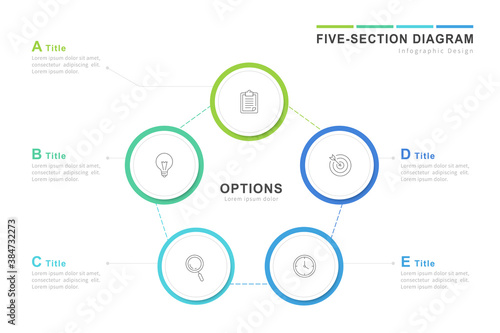 Five section diagram infographics