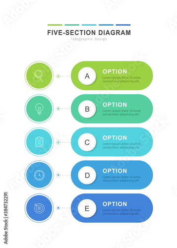 Five section diagram infographics