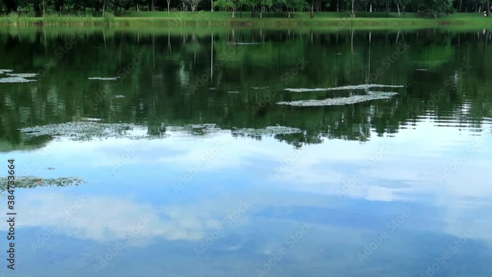 Lake water reflection surface of beautiful sunny clear blue sky & white fluffy cloud or cumulus cloudscape at green leisure activity park during people running & walking for healthy life-style concept Lake water reflection surface of beautiful sunny clear blue sky & white fluffy cloud or cumulus cloudscape at green leisure activity park during people running & walking for healthy life-style concept