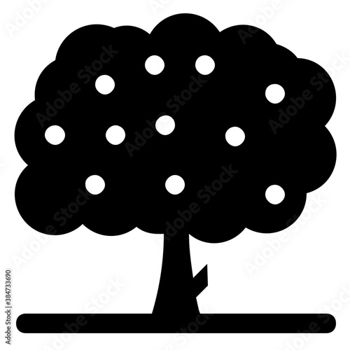 
A fresh fruit tree, apple tree 
