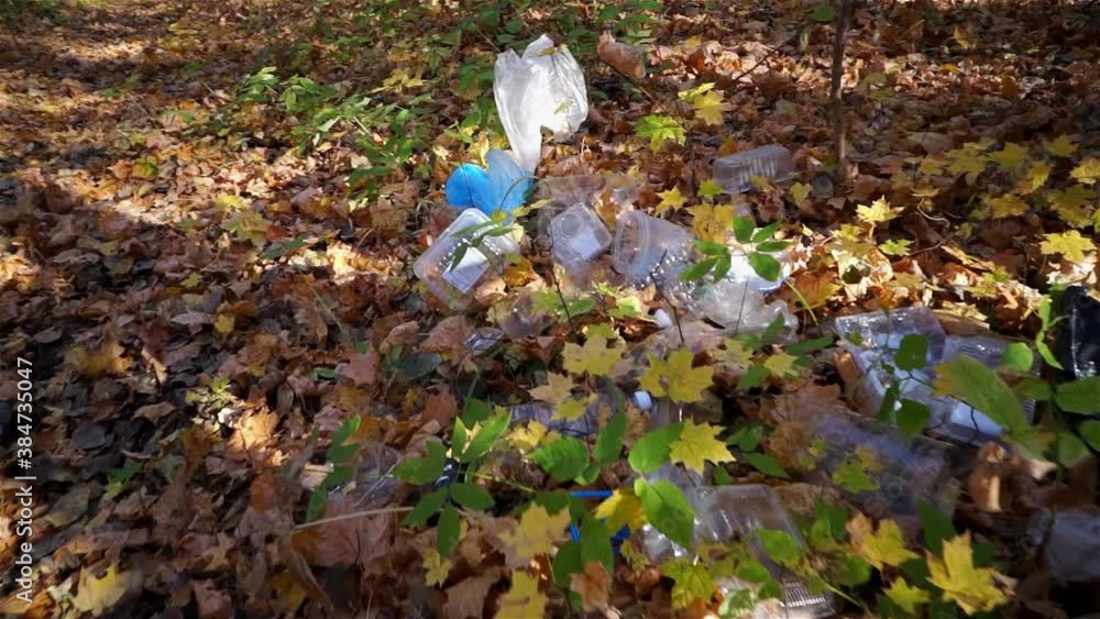 Plastic pollution of the forest and nature. Bottles, bags, and other plastic trash in the woods. Safe nature, global problem Plastic pollution of the forest and nature. Bottles, bags, and other plastic trash in the woods. Safe nature, global problem
