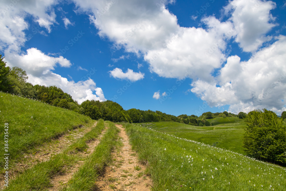 Antola regional natural park, a protected natural area located in Liguria between Genoa interland and the ligurian Apennines, Italy