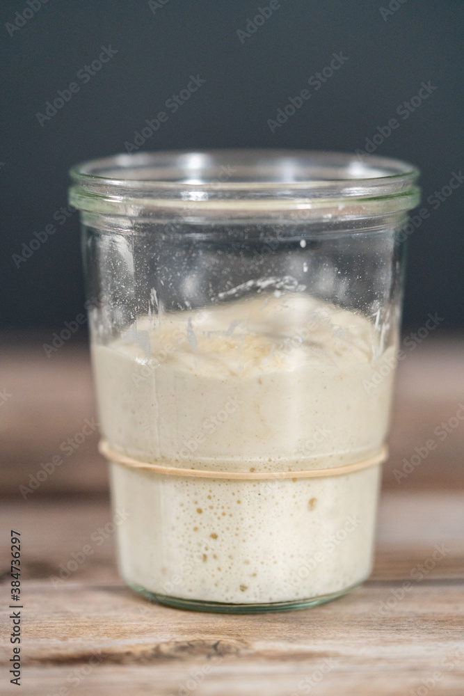 Sourdough starter Sourdough starter