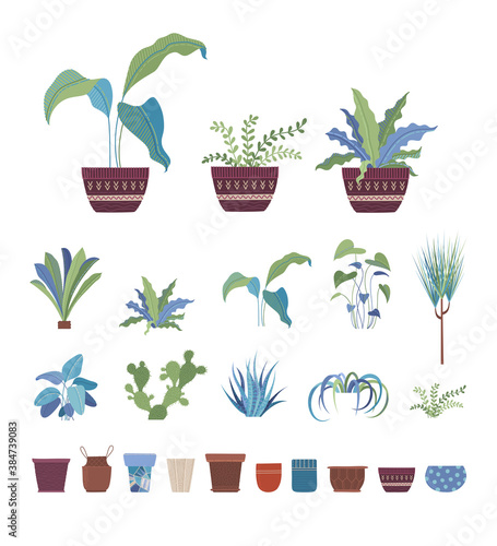 Houseplants, flowers in pots flat vector illustrations set. Clay flowerpots with home plants, interior design elements pack. Greenery, domestic flowers collection isolated on white background